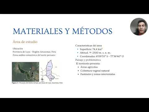 Cambios de cobertura y uso del suelo mediante Sentinel-2 y GEE en el distrito de Luya, Amazonas,Perú