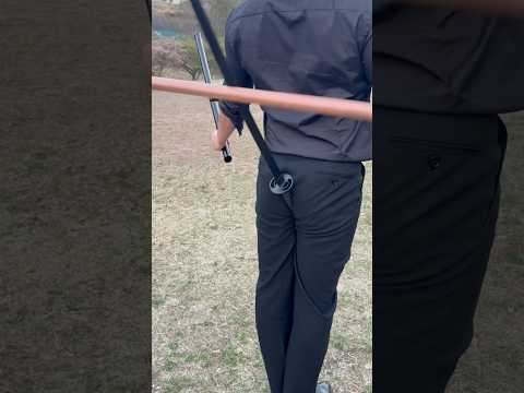 #zoro #anime @samuraigockey