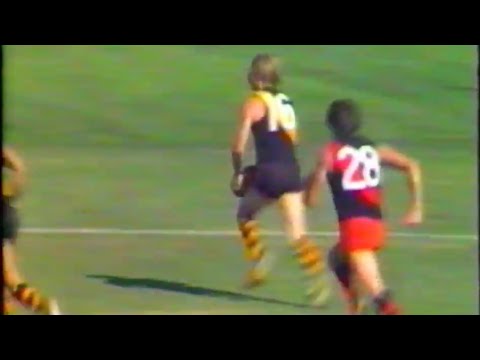 1982 VFL Round 3 - Richmond vs Essendon