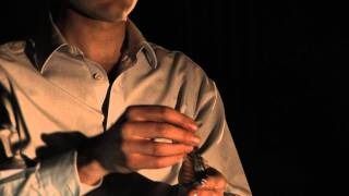 SO SORRY by GEOFFREY O'CONNOR