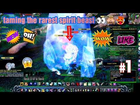 taming the rarest spirit beast in world of warcraft #wow #pet #shorts