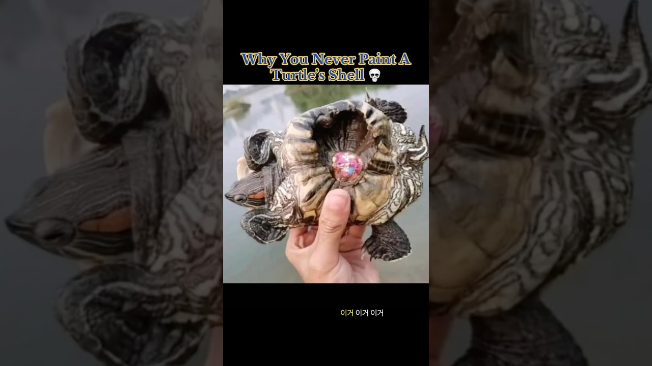 Why You Never Paint A Turtle’s Shell 💀 #badidea