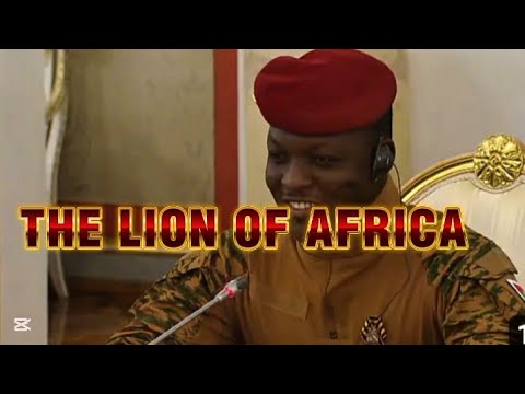 The LION OF AFRICA 
