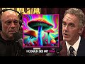 Jordan Peterson S Life Changing 7g Heroic Dose