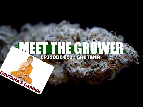 Meet the Grower Ep. 053 - Gautama - Sponsored by Mars Hydro