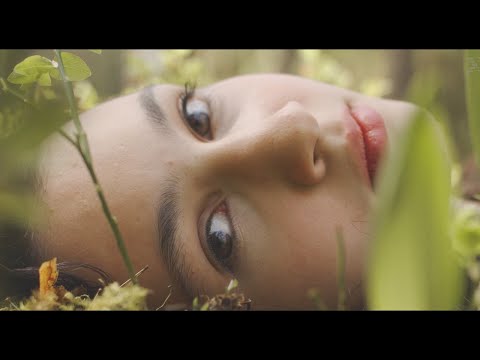 Karolina Cicha & Sw@da - Xylopolis (Official Video)