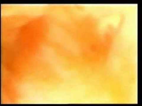 Mrekullia e Allahut - Krijimi i njeriut.