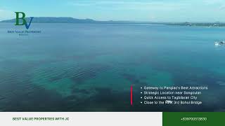 RARE 2-Hectare Beachfront Opportunity in Dauis, Panglao Island! 🌴🌊