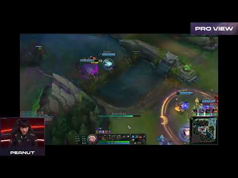 Peanut Pro View | NS vs HLE | LCK 2024 Spring