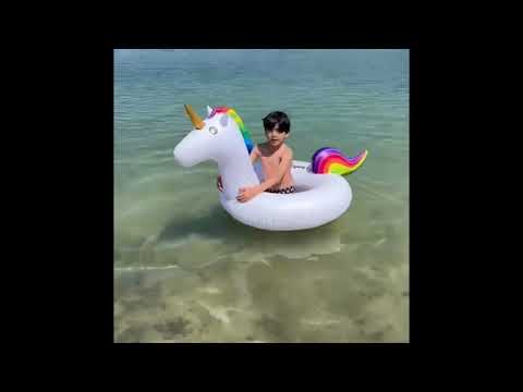 Een dag in Houthalen-Helchteren