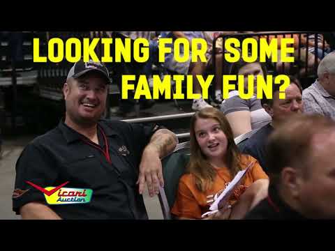 Vicari Dalton GA Commercial