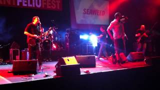 SEAWEED - Losing skin (Sant Feliu Fest 2012)