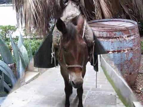 KLAPA ŠIBENIK - JERE ŠKOVACIN