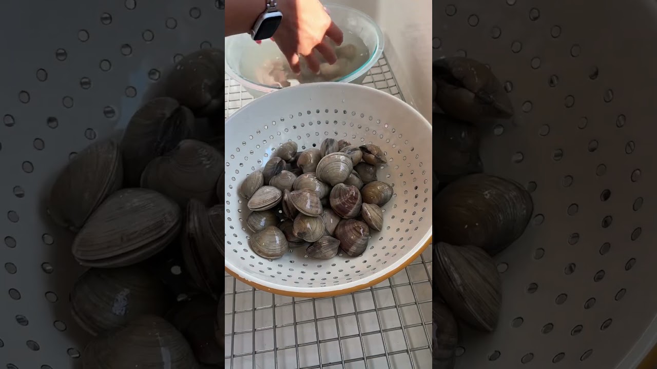 How long does it take to cook clams without the shell? Tipseri