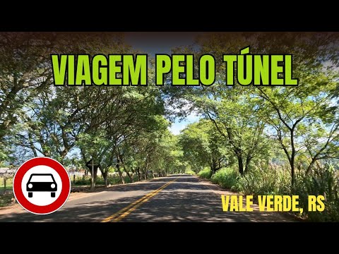 Túnel verde ao longo da estrada, luz do sol surge entre as árvores - Vale Verde, RS, 25/04/2025