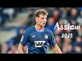 Fisnik Asllani Highlights Hoffenheim Striker Dominant Finishing Goals 2025