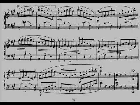 Jan Vermeulen plays Heller Op.45 (selection)