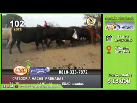 16-07-19 - Venta de Vientres - Remate televisado de UMC & HACIENDAS VILLAGUAY - Entre Ríos