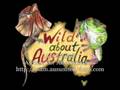 Australian Nation Anthem Advance Australia Fair