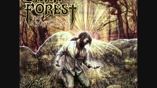 Dark Forest - The Awakening