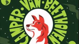 We're All Wasted And We're Wasting All Your Time