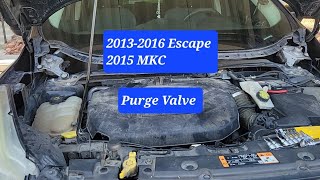 Purge Valve / this is what I'd do / 2013-2016 Ford Escape / 2015 MKC P1450