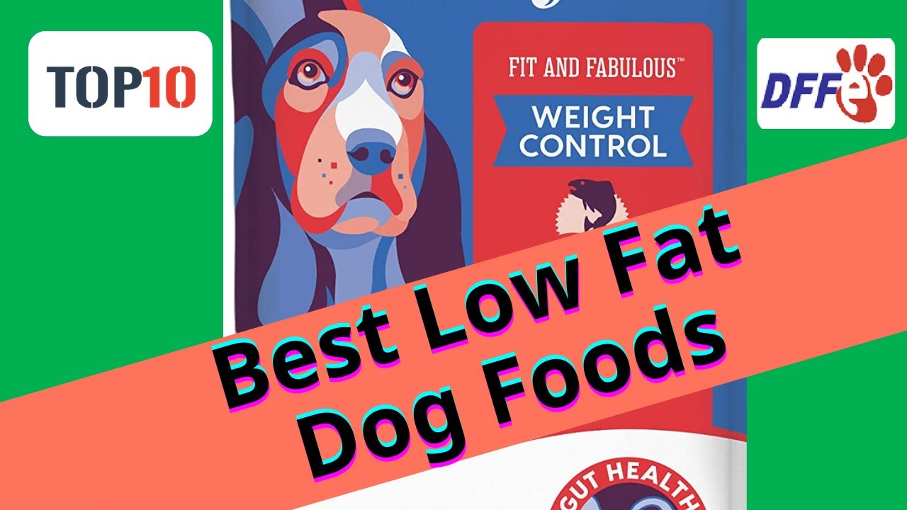 Top 10 Best Low Fat Dog Foods(Reviews)✅Buying Guide 2021