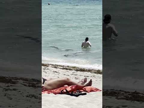 🇺🇸 Beautiful day at Miami beach