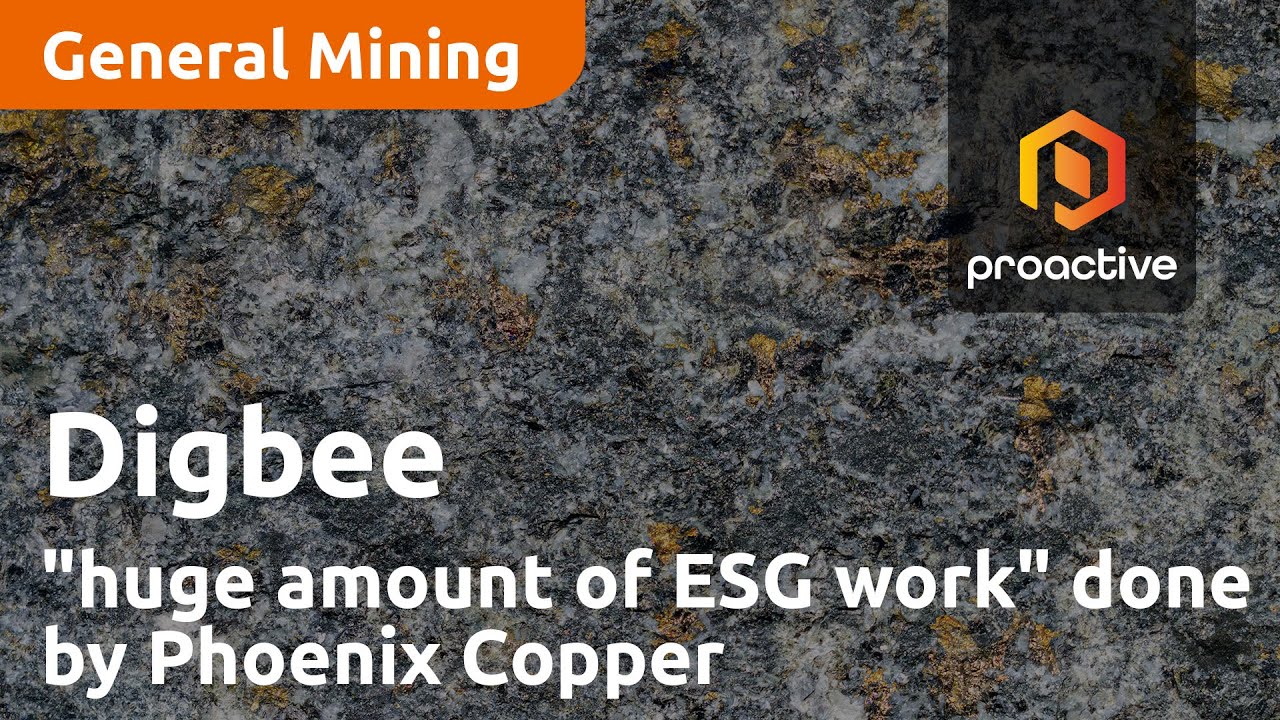 Digbee assessment part of "huge amount of ESG work" done by Phoenix Copper