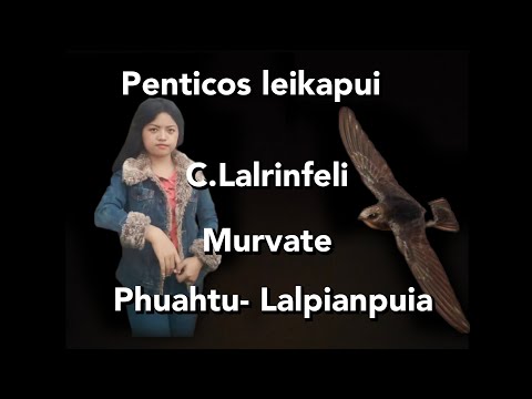 C.Lalrinfeli-Murvate(Penticos leikapui)