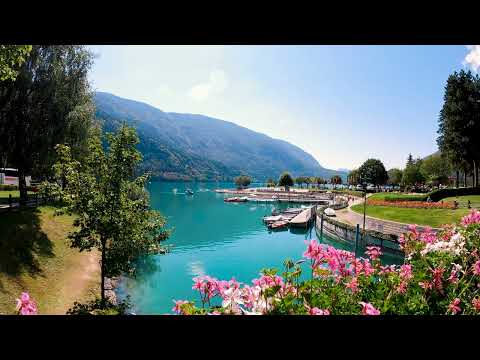 Michael, the founder of One Wish