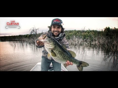 HUGE Bass explodes on a Topwater Frog! - Las Cuevas Ranch