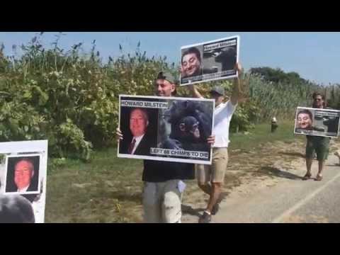 Protest at Hamptons Home of Howard Milstein