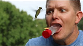 Hummingbirds eating from my mouth (In Slow Motion) - Smarter Every Day 124