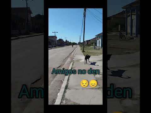 #camaguey #cubanosporelmundo #cubanostalgia #cronicasdemiisla #santacruzdelsur