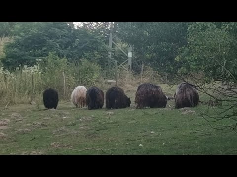 Výlet na Slovensko 2025 - cesta za vlnou a pletením