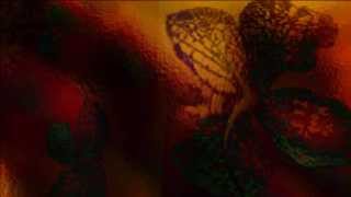 Roselle Nava♥Dahil Mahal Na Mahal Kita(English Translation)