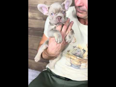 Video 1