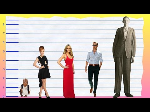 download lagu mp3 mp4 Rachel Mcadams Height, download lagu Rachel Mcadams Height gratis, unduh video klip Rachel Mcadams Height