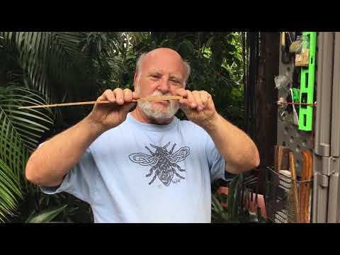 What’s in The Beekeeper’s Closet?