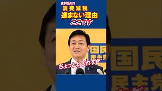 食料品ゼロ減税、進まないのは全部国民民主のせい？違和感ありません？