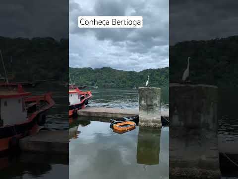 Conheça Bertioga! A Caçula do litoral Norte Paulista