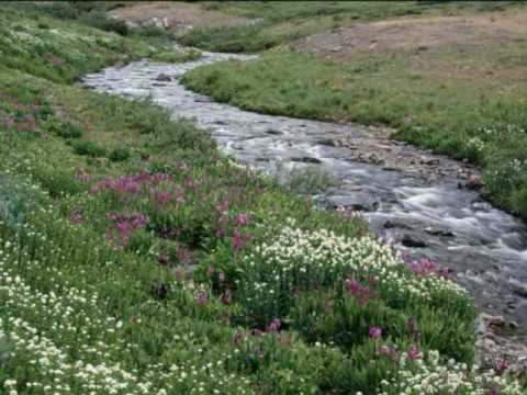 pedro fernandez los recuerdos de tu amor