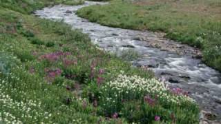 pedro fernandez los recuerdos de tu amor