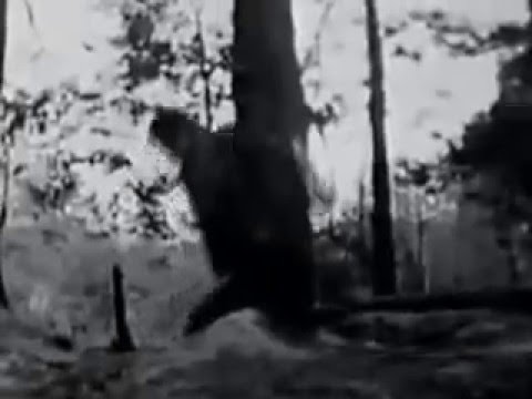 Скрябiн - Одинокий В'язень