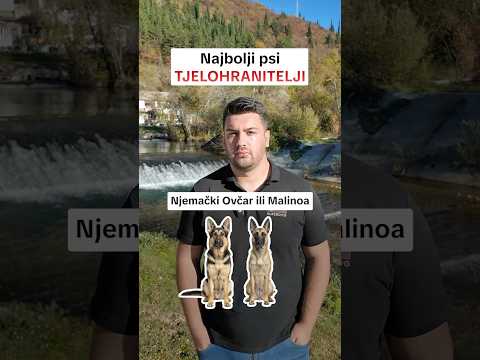 Tko je vaš tjelohranitelj? #superdog #nepostojilospas #belgijskiovcar