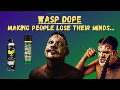 WASP DOPE - WASP METH | Extreme Hallucinations and Paranoia Like Nothing We've Seen Before