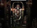 Om Namo Narayanaya Chanting Lord Venkateswara Swami