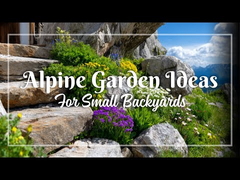 Alpine Garden Ideas for Small Yards: Stunning Rock & Mountain-Inspired Designs