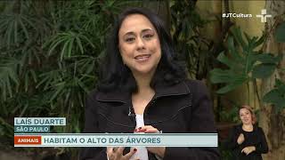 Miniatura do vídeo